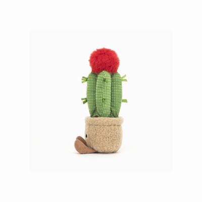 Jellycat Moon Cactus USA | 73205IPMH